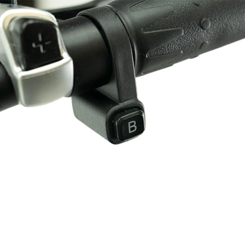 ENGWE L20 Boost - Zwart (incl. gratis voormand)