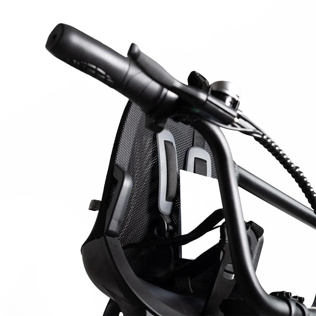 ENGWE L20 Family - Roze