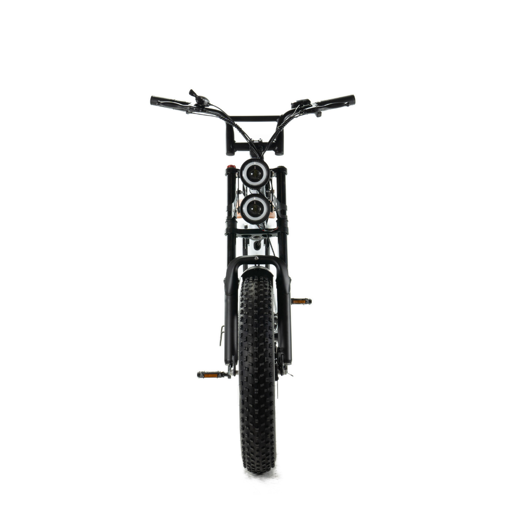 ENGWE M20 (26Ah) - Wit