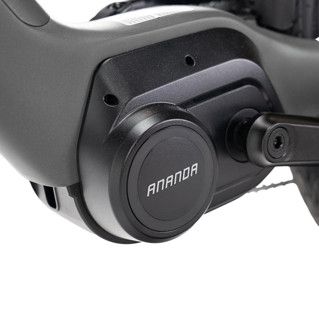 ENGWE MapFour N1 Pro - Grijs