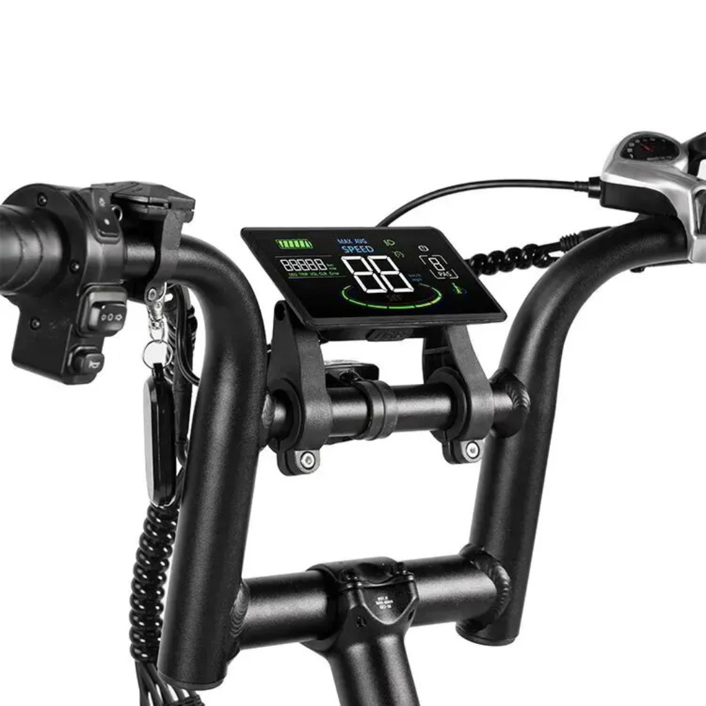 QMWHEEL V20 Max (incl. voetsteuntjes & alarm)