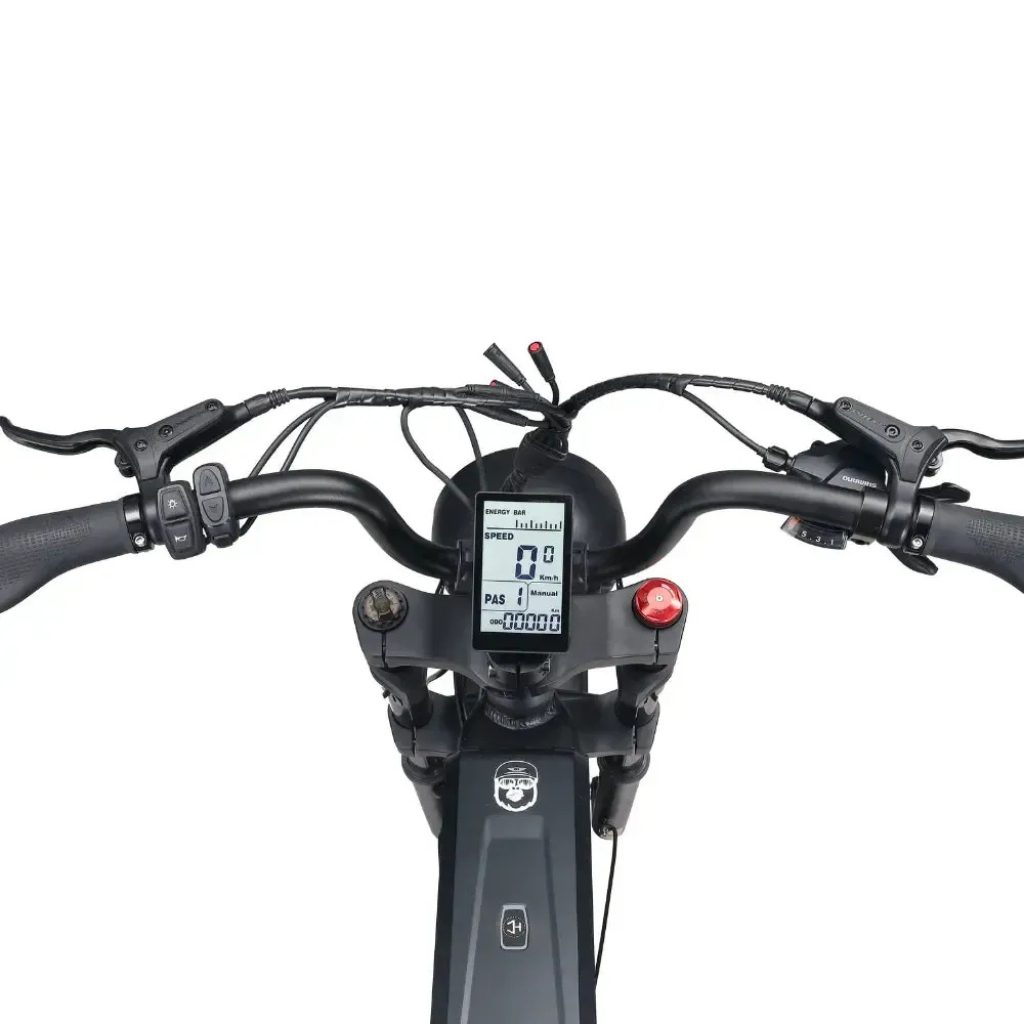 Ape Ryder Baboon - Zwart