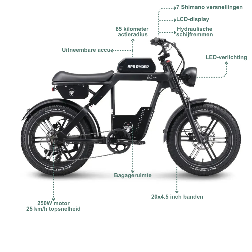 Ape Ryder Baboon - Zwart