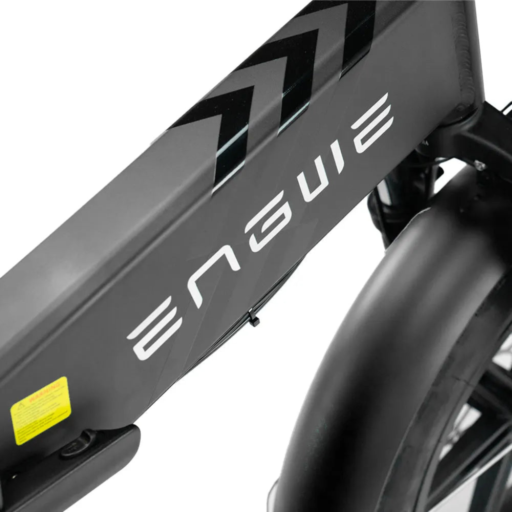 ENGWE Engine Pro 2.0 - Zwart