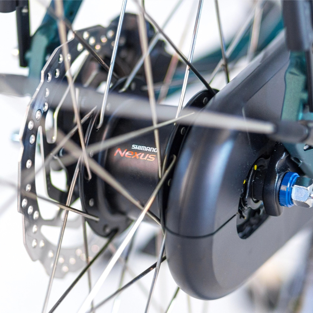 TOMOS EB 07 -  Ponderosa Green Matt